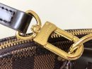 replica-louis-vuitton-lv-alma-pm-bag-n53151-6