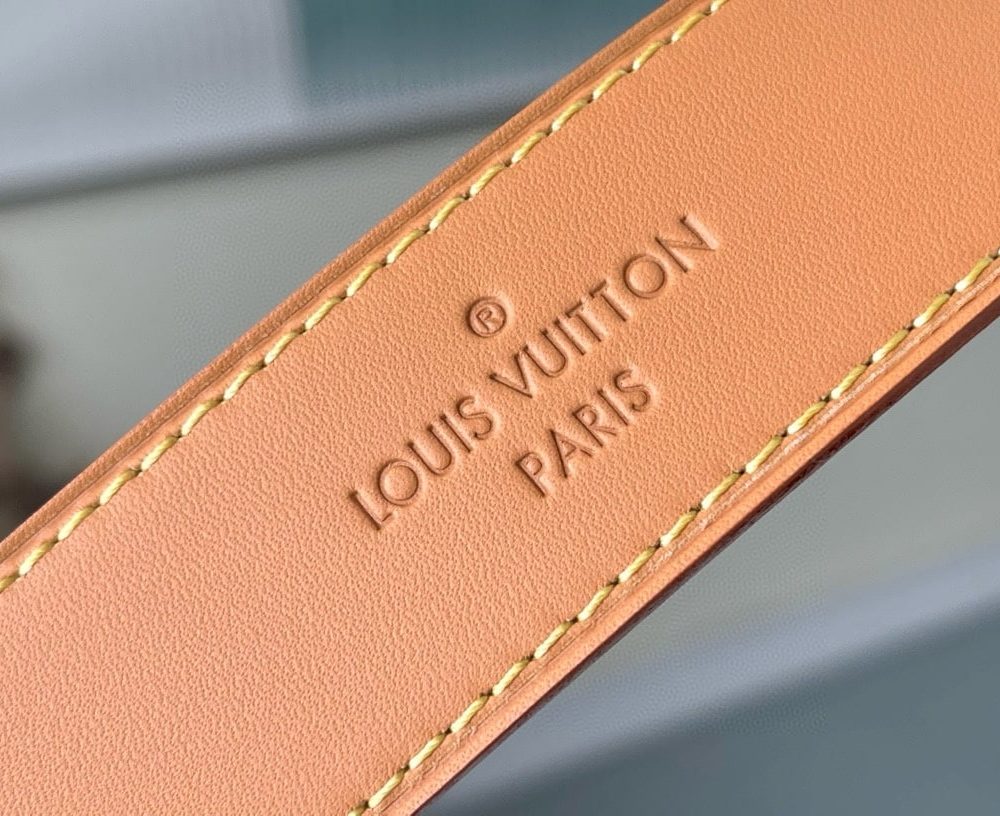 1:1 Replica Louis Vuitton LV CarryAll PM Monogram Canvas Essential Bag For Women M46203 - 11.4 Inches/ 28.9 Cm