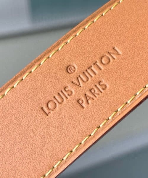 1:1 Replica Louis Vuitton LV CarryAll PM Monogram Canvas Essential Bag For Women M46203 - 11.4 Inches/ 28.9 Cm