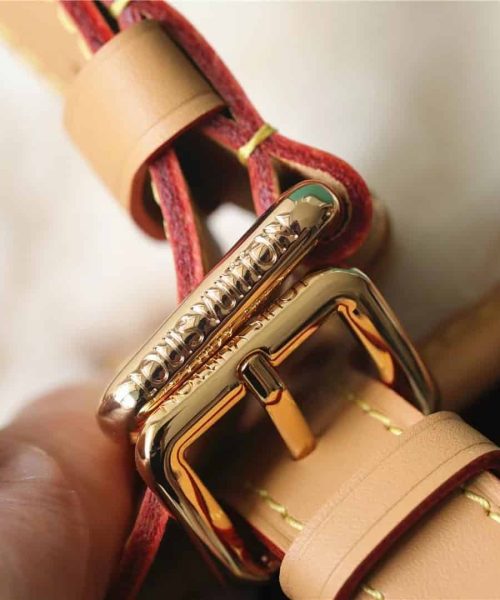 1:1 Replica Louis Vuitton LV Diane Bag Brown Luxury Bag For Women M46317 - 9.4in/24cm