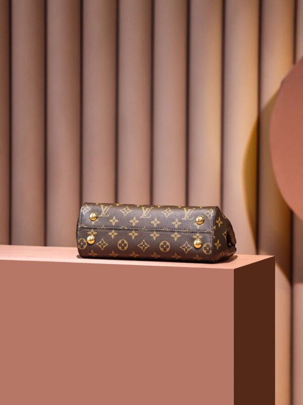 1:1 Replica Louis Vuitton LV Cluny BB Brown Essential Bag For Women M46372 - 28cm / 11in