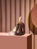 1:1 Replica Louis Vuitton LV Cluny Mini Brown Essential Bag For Women M46055 - 20cm / 7.9in