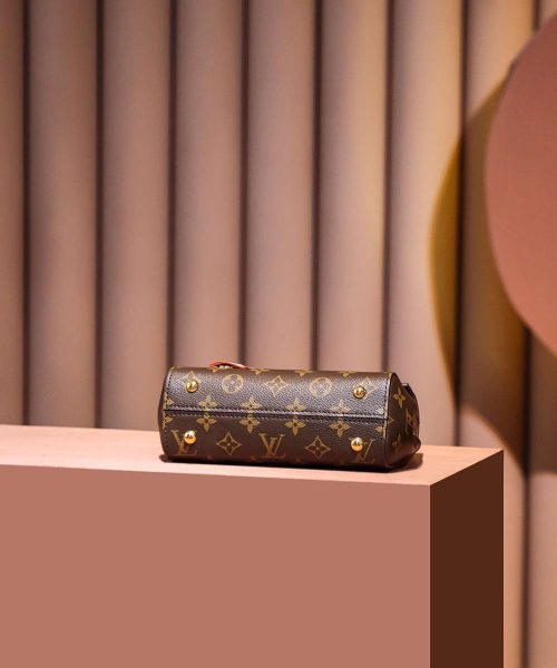 1:1 Replica Louis Vuitton LV Cluny Mini Brown Essential Bag For Women M46055 - 20cm / 7.9in