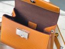 1:1 Replica Louis Vuitton LV Cluny Mini Epi Gold Miel Luxury Bag For Women M58931 - 20cm/7.9in