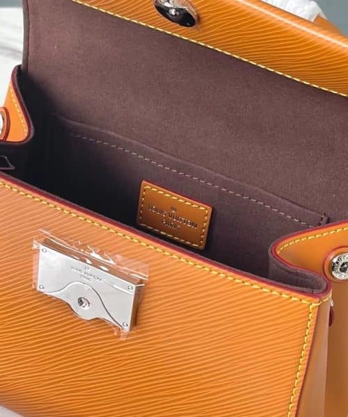 1:1 Replica Louis Vuitton LV Cluny Mini Epi Gold Miel Luxury Bag For Women M58931 - 20cm/7.9in