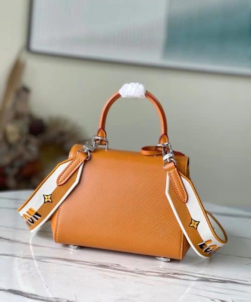 1:1 Replica Louis Vuitton LV Cluny Mini Epi Gold Miel Luxury Bag For Women M58931 - 20cm/7.9in