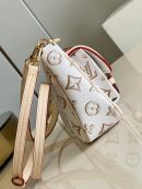 1:1 Replica Louis Vuitton LV Maxi Multi Pochette Accessories Luxury Bag For Women M20920 - 9.3in/27cm