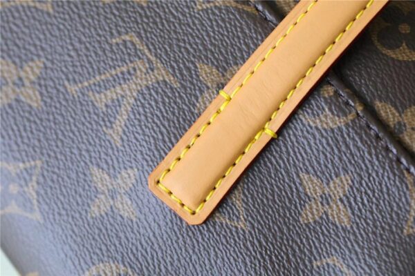 1:1 Replica Louis Vuitton LV Sonatine Monogram Canvas Luxury Bag For Women M51902 - 11.4in/29cm