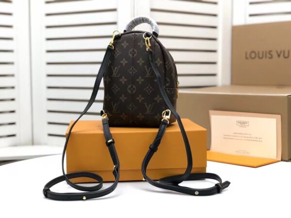 1:1 Replica Louis Vuitton LV Palm Springs Mini Monogram Canvas Luxury Bag For Women M44873 - 6.7in/17cm