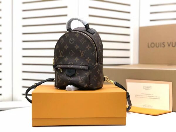 1:1 Replica Louis Vuitton LV Palm Springs Mini Monogram Canvas Luxury Bag For Women M44873 - 6.7in/17cm