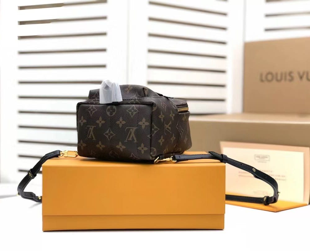 1:1 Replica Louis Vuitton LV Palm Springs Mini Monogram Canvas Luxury Bag For Women M44873 - 6.7in/17cm