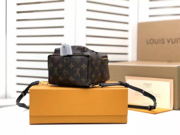 1:1 Replica Louis Vuitton LV Palm Springs Mini Monogram Canvas Luxury Bag For Women M44873 - 6.7in/17cm
