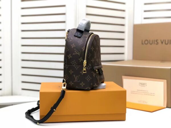 1:1 Replica Louis Vuitton LV Palm Springs Mini Monogram Canvas Luxury Bag For Women M44873 - 6.7in/17cm