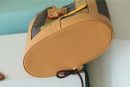 1:1 Replica Louis Vuitton LV Randonee Messenger Monogram Stripes Brown Unique Bag For Men M45968 - 10.4in/26cm
