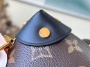1:1 Replica Louis Vuitton LV Petite Malle Souple Monogram Canvas Luxury Bag For Women M45571 - 7.9in/20cm