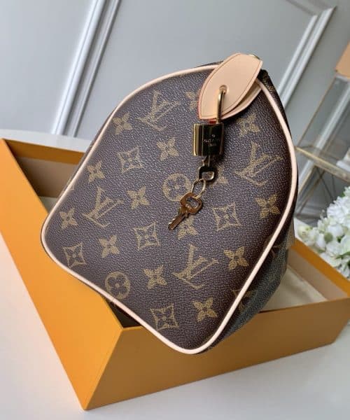 1:1 Replica Louis Vuitton LV Speedy 25 Monogram Canvas Luxury Bag For Women M41109 - 9.8in/25cm