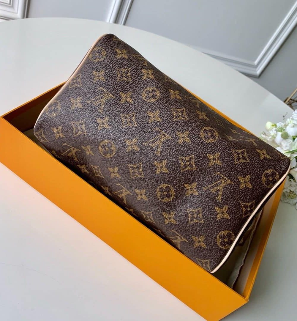1:1 Replica Louis Vuitton LV Speedy 25 Monogram Canvas Luxury Bag For Women M41109 - 9.8in/25cm