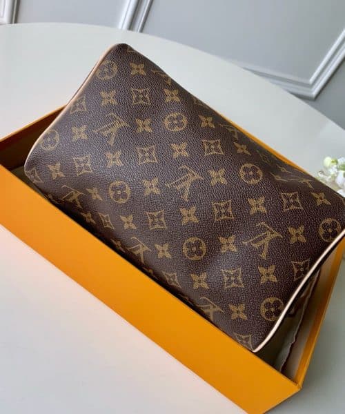 1:1 Replica Louis Vuitton LV Speedy 25 Monogram Canvas Luxury Bag For Women M41109 - 9.8in/25cm