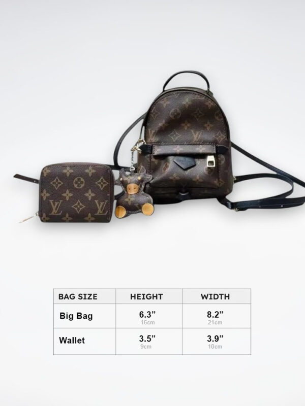 DBS-LC382 - Palm Springs Handbag Deal
