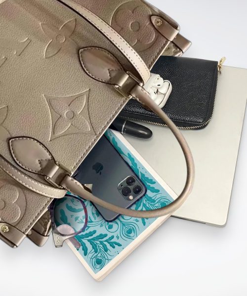DBS-LC384 - Onthego MM Handbag Deal