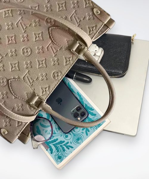 DBS-LC387 - Onthego MM Handbag Deal