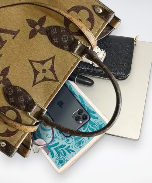 DBS-LC389 - Onthego MM Handbag Deal