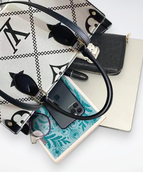 DBS-LC398 - Onthego MM Handbag Deal