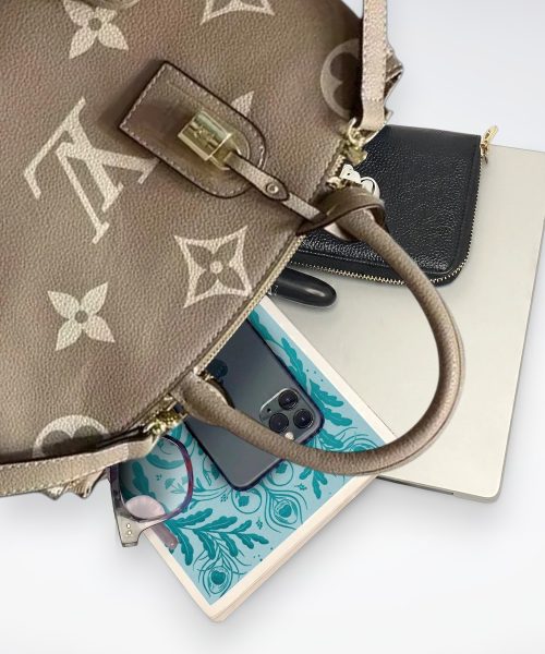 DBS-LC422 - Petit Palais Handbag Deal