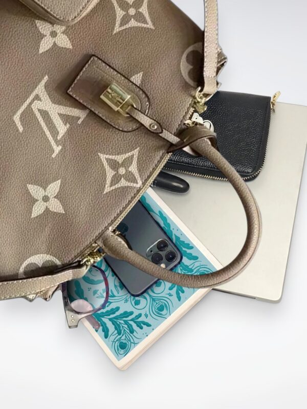 DBS-LC422 - Petit Palais Handbag Deal