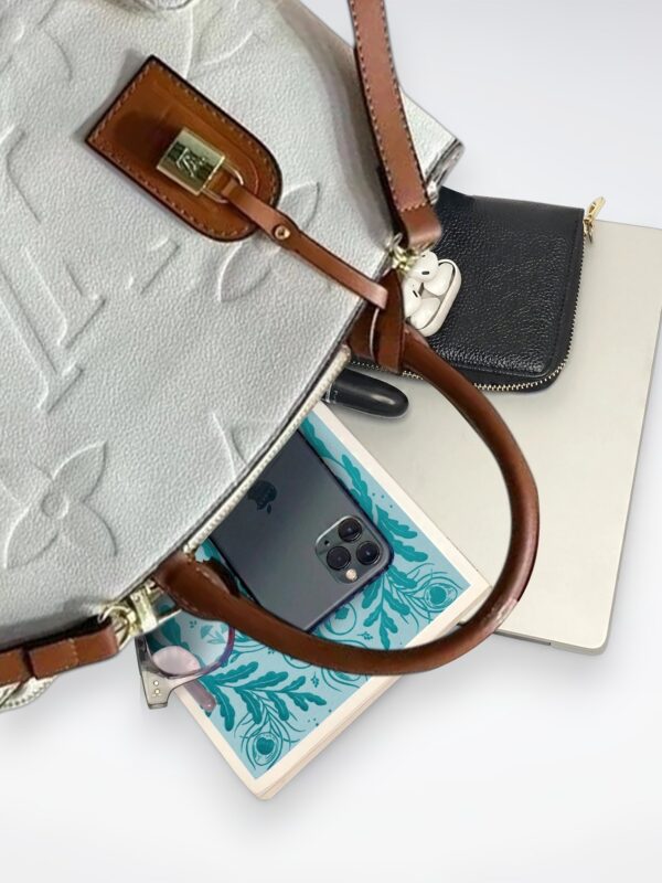 DBS-LC424 - Petit Palais Handbag Deal