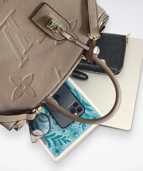 DBS-LC425 - Petit Palais Handbag Deal