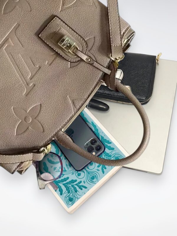 DBS-LC425 - Petit Palais Handbag Deal