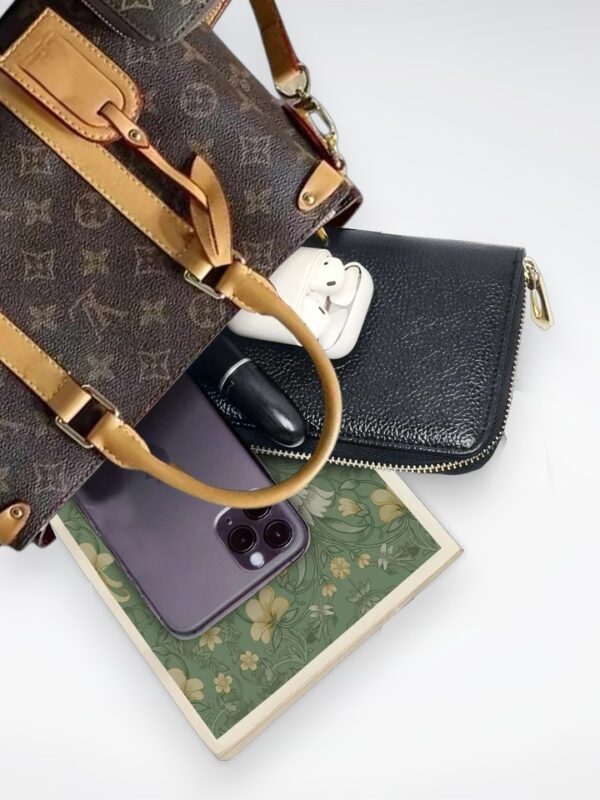 DBS-LC446 - Soufflot BB Handbag Deal