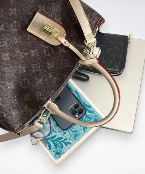 DBS-LC456 - Petit Palais Handbag Deal