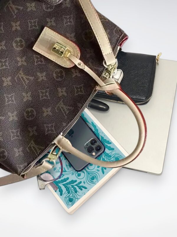 DBS-LC456 - Petit Palais Handbag Deal