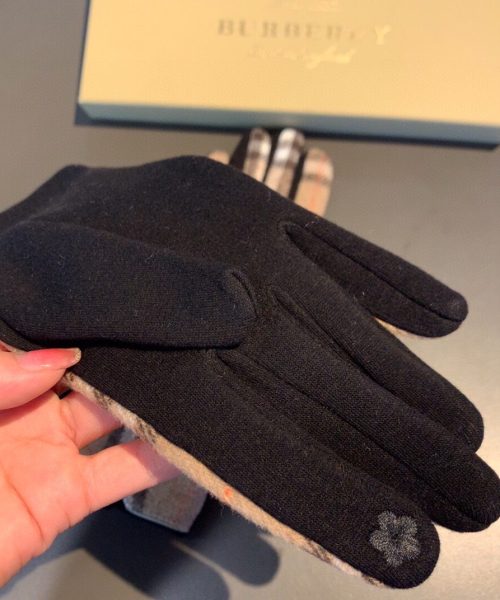 Burberry Cashmere Gloves In Brown