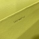 1:1 Replica Celine Chain Shoulder Bag Cuir Triomphe Green For Women 7.9in/20cm