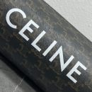 1:1 Replica Celine Cylinder Bag In Triomphe Canvas Tan For Women 9in/22cm 110052EJF.04LI