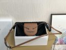 1:1 Replica Celine Mini Besace Cuir Triomphe Brown For Women 4in/11cm 10J303DPQ.04LU