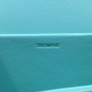 1:1 Replica Celine Triomphe Shoulder Bag Mint Green For Women 8in/20cm