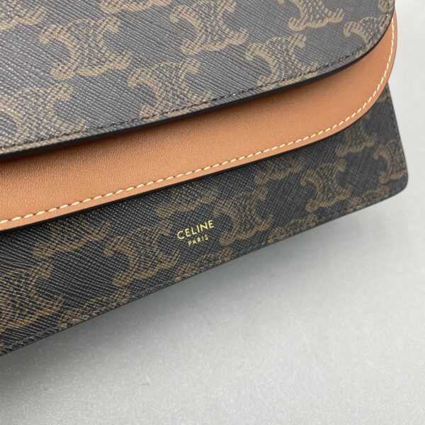 1:1 Replica Celine Wallet On Strap In Triomphe Canvas Brown For Women 8in/20cm 10D852CG9.04LU