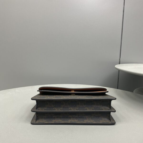 1:1 Replica Celine Wallet On Strap In Triomphe Canvas Brown For Women 8in/20cm 10D852CG9.04LU