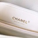 [REP 1:1] Chanel Coco Handle Quilted Lizard Handle Bag 24cm Caviar Leather Gold Hardware Spring/Summer Act 1 Collection, White