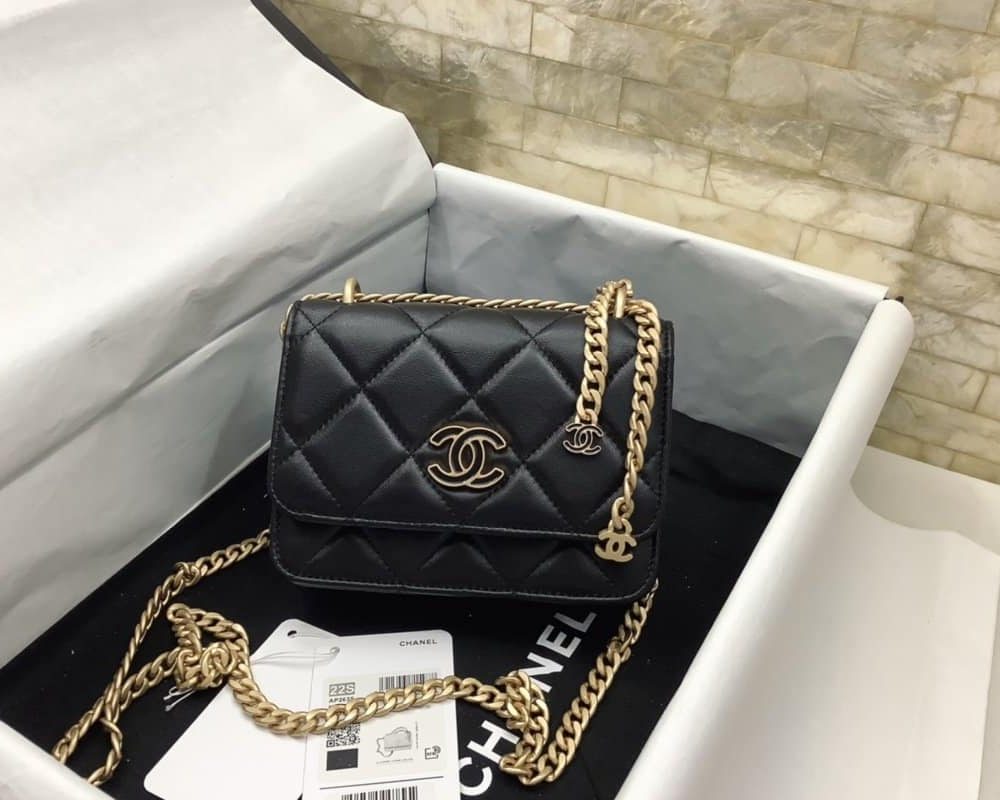 [REP 1:1] Chanel Spring And Summer 22C Black For Women, Women's Bags 6.1in/15.5cm