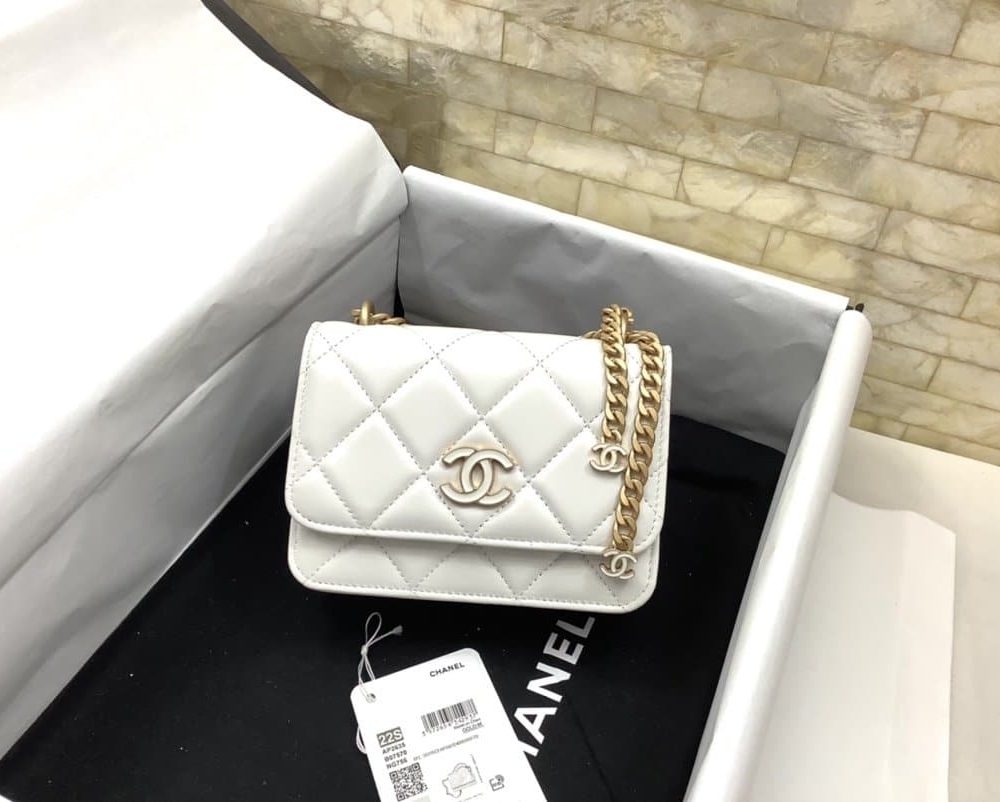 [REP 1:1] Chanel Spring And Summer 22C White For Women, Women's Bags 6.1in/15.5cm