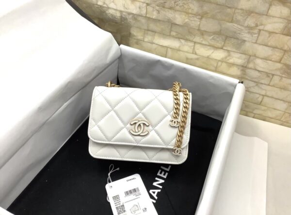 [REP 1:1] Chanel Spring And Summer 22C White For Women, Women's Bags 6.1in/15.5cm