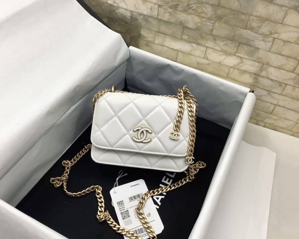 [REP 1:1] Chanel Spring And Summer 22C White For Women, Women's Bags 6.1in/15.5cm