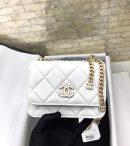 [REP 1:1] Chanel Spring And Summer 22C White For Women, Women's Bags 6.1in/15.5cm