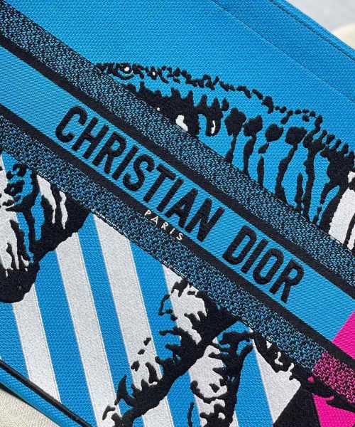 1:1 Replica Christian Dior Large Dior Book Tote Blue And Pink, For Women, Women’s Handbags 16.5in/42cm CD