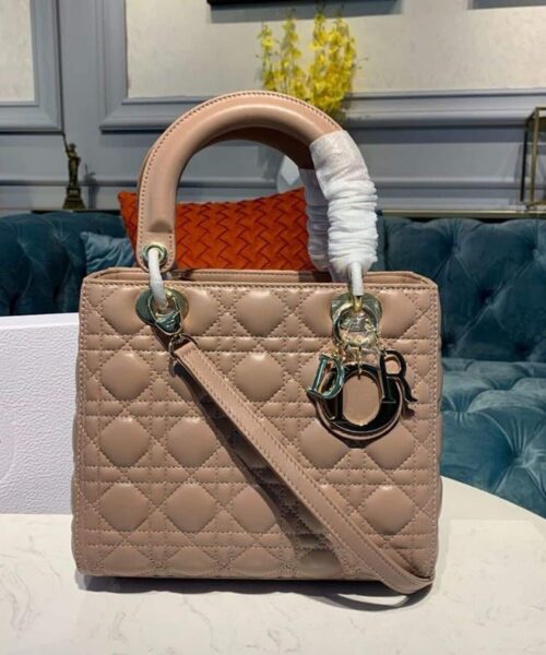 1:1 Replica Christian Dior Medium Lady Dior Bag Rose Des Vents For Women 9.5in/24cm CD